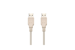 6Ft A-Male to A-Male USB2.0 Cable Ivory