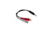 3.5mm Male to (2) RCA Female Y-Cable, 0.5 ft (6 In.)