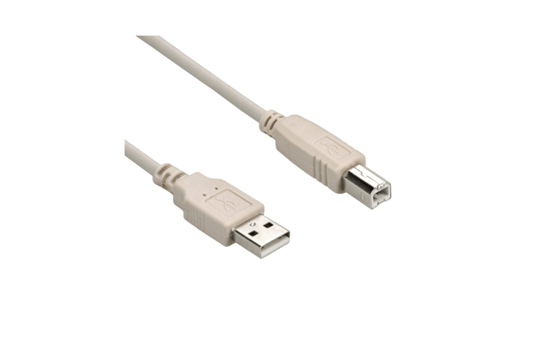 10Ft A-Male to B-Male USB2.0 Cable Ivory