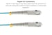 25M SC-SC OM3 10 Gig 50/125 Multimode Duplex UPC Fiber Patch Cable