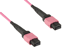 MTP® Cable 12-Strand Corning ClearCurve®, OM4, Type B, Female Key Up to Female Key Up, OFNP, UPC, 1 Meter