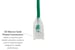 Cat6A Slim Snagless Ethernet Patch Cable, 14ft, Green
